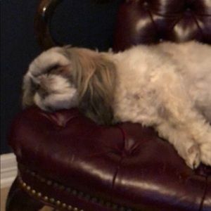 Meet your Posher, Michelle